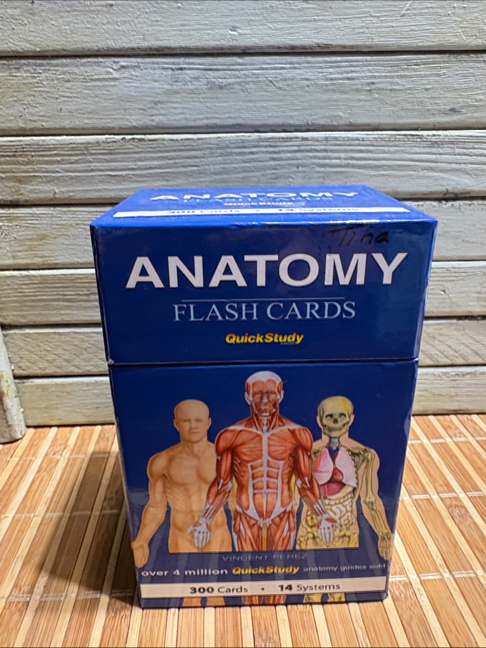 Anatomy Flash Cards - Blue